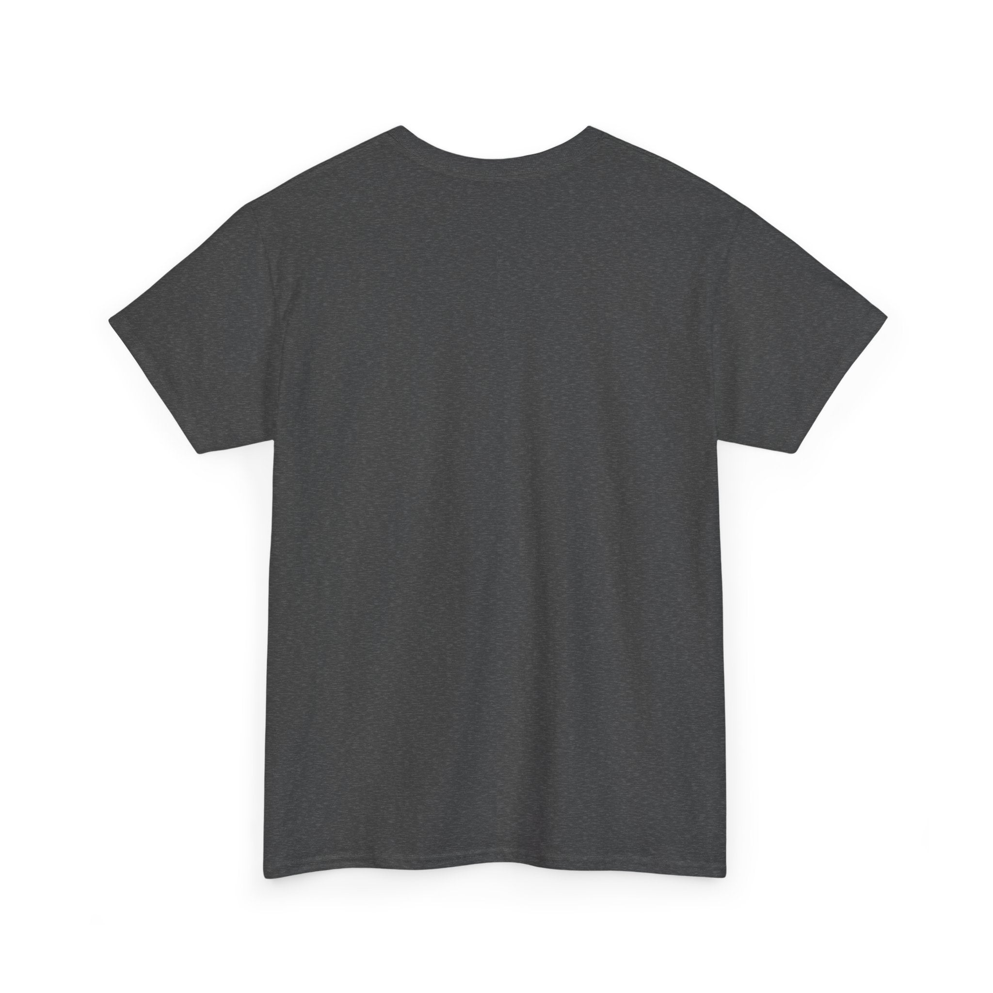 Unisex Heavy Cotton Tee / BALKAN BOY