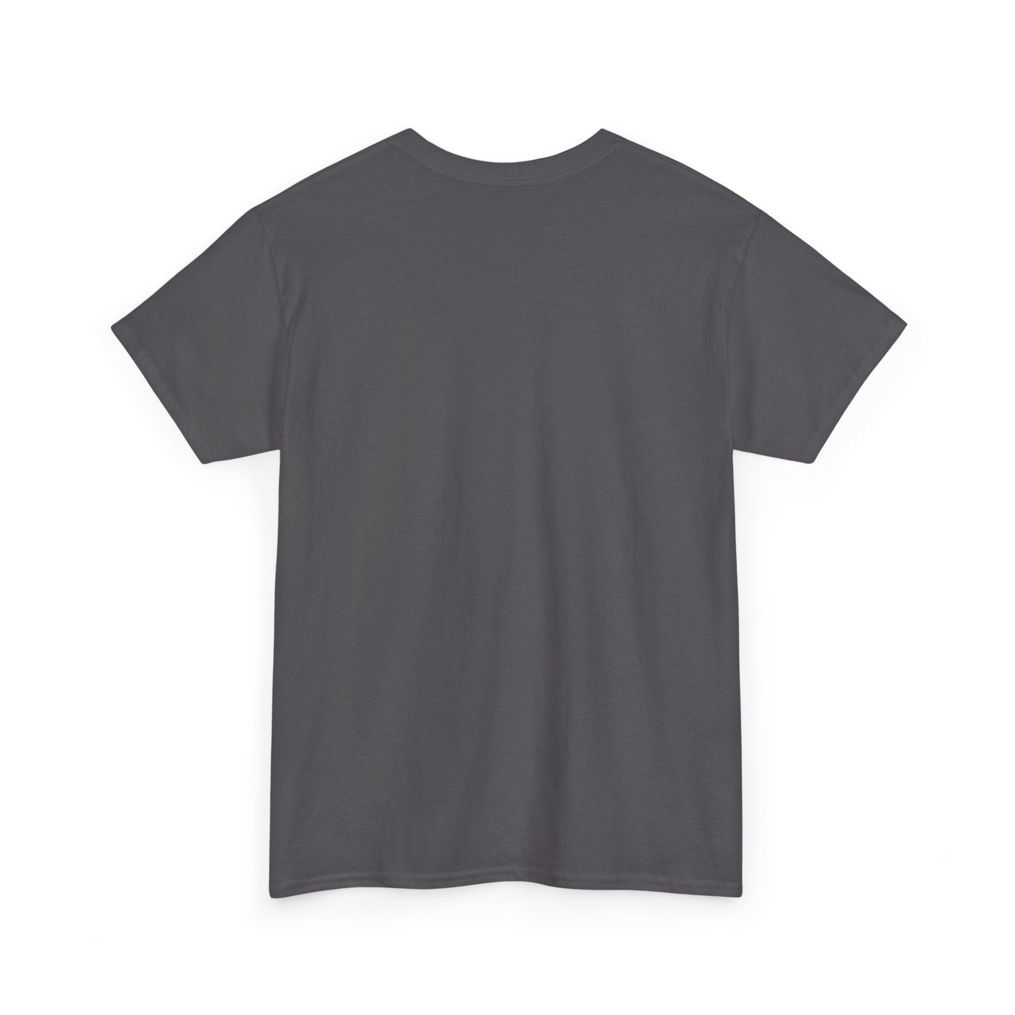Unisex Heavy Cotton Tee / BALKAN BOY