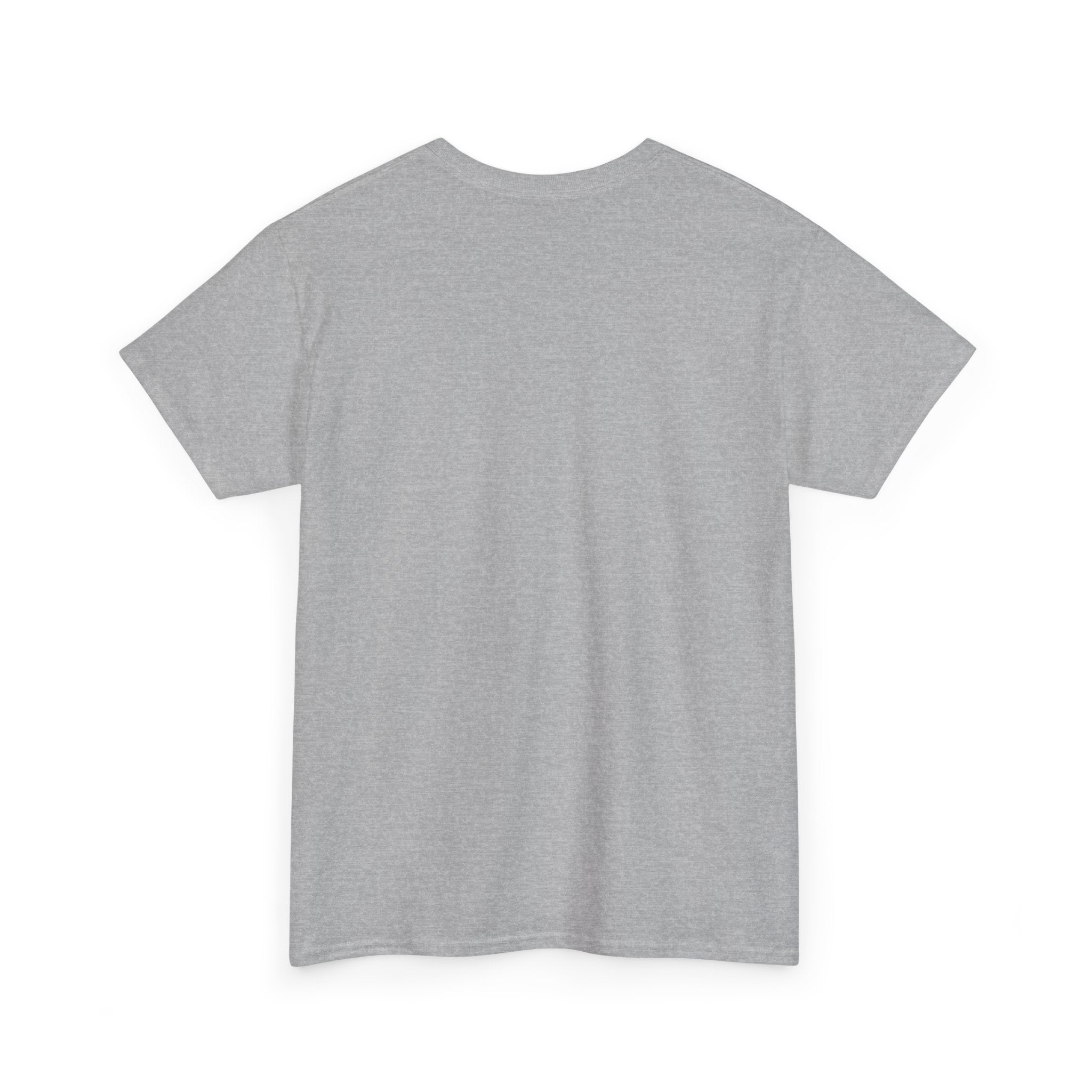 Unisex Heavy Cotton Tee / BALKAN BOY